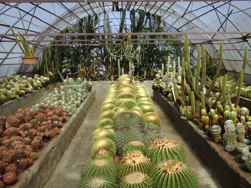 pine-view-nursery-img